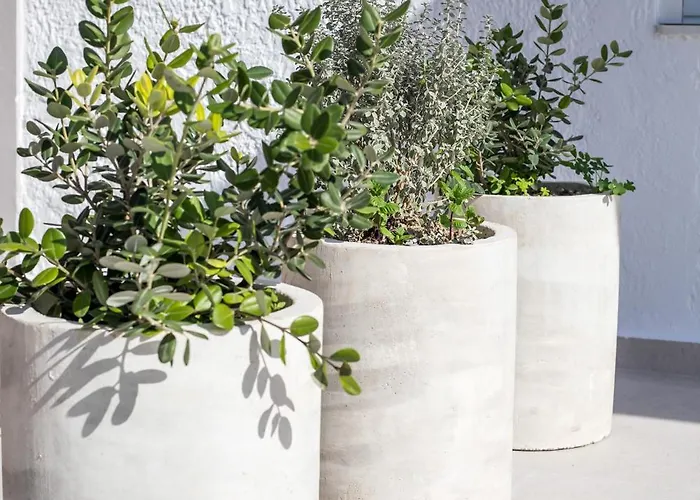 Sarah's Just Renovated 2-bedroom Aparts In Nature Lägenhet