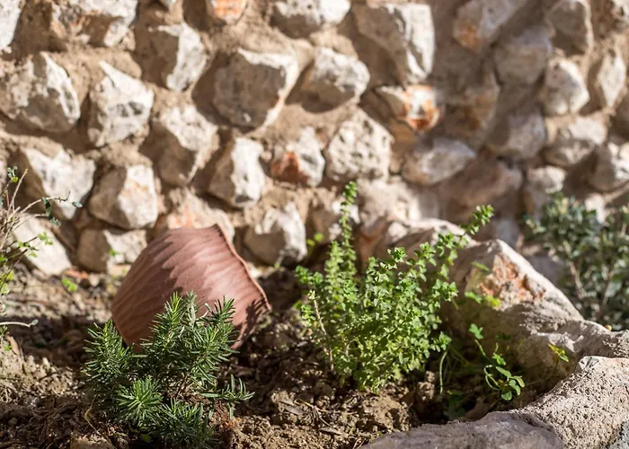 Sarah's Just Renovated 2-bedroom Aparts In Nature Lägenhet