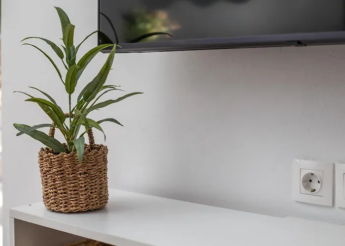 Sarah's Just Renovated 2-bedroom Aparts In Nature Lägenhet